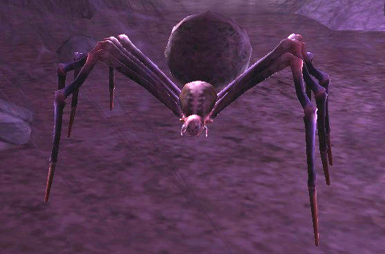 File:Barrow-spider.jpg