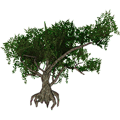 Tamarisk Tree-icon.png