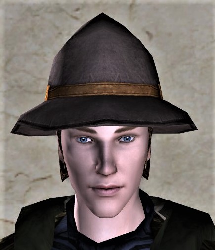File:Pointed Hat 2 (front).jpg