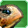 File:Well-travelled Turtle-icon.png