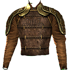 Ceremonial Spear-shaker's Jacket - Lotro-Wiki.com