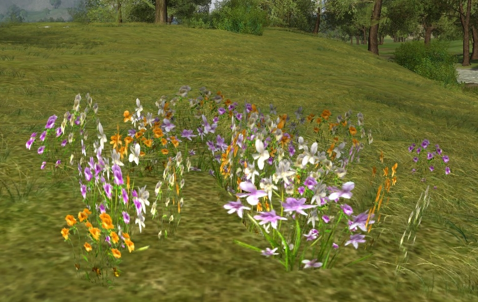 Picking a patch of flowers