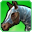 Steed of the Rune-keeper(skill)-icon.png