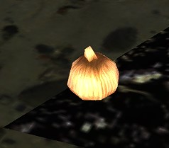 Image of Yellow Onion