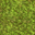 Light Grass Floor-icon.png