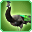 Black Peahen-icon.png