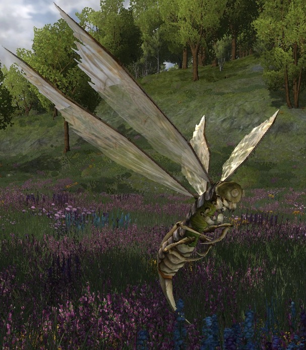 Vale Fly Lotro Wiki