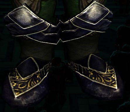 File:Expeditionary's Forceful Boots.jpg