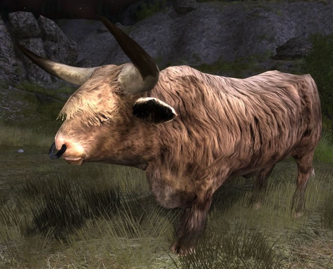 File:River-dwelling Ox.jpg