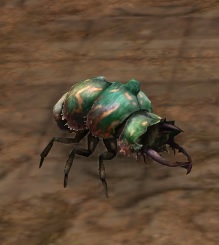 File:Green Beetle.jpg
