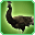 Black Peacock-icon.png