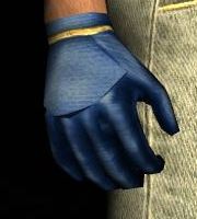 File:Cloth Gloves 1 Evendim Blue.jpg