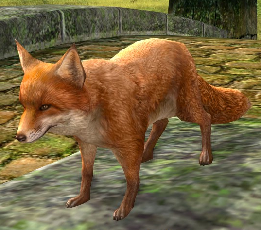 File:Fox (Pet).jpg