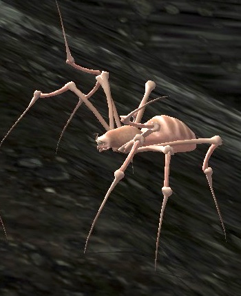 File:Ungol Spiderling.jpg