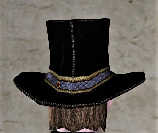 Roblox Catalog Hat, Roblox Wiki