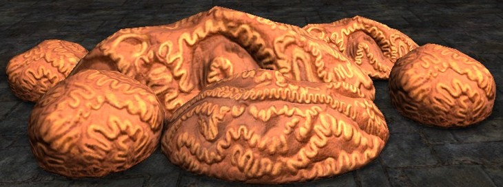 File:Medium Cluster of Brain Fungus.jpg