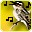 File:Song of Soothing-icon.png