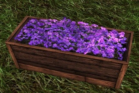 File:Low Violet Planter.jpg