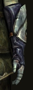 Rift-defender's Gloves