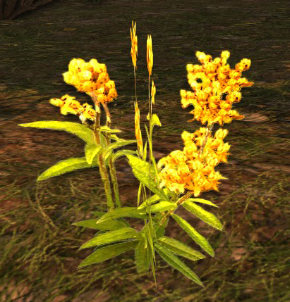 File:Maiden's Helm.jpg