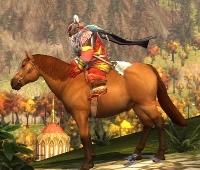 File:Chestnut Pony.jpg