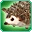 Hedgehog-icon.png
