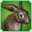 Brown Rabbit-icon.png