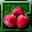 Berries 1-icon.png