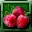 File:Berries 1-icon.png