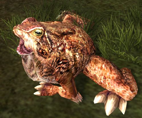 File:Burrowing River-toad.jpg