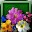 File:Flower 1 (quest)-icon.png