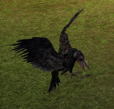 File:Raven (Cosmetic Pet).jpg