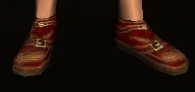 File:Leather Shoes Level 26 & 29 Vendor Red.jpg