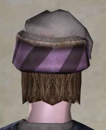 File:Wayfarer's Hat (back).jpg