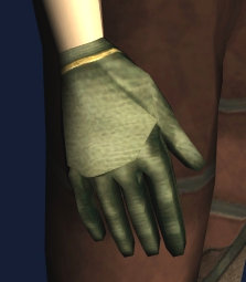 File:Salt-encrusted Gloves.jpg