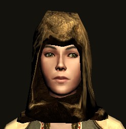 Item:Hooded Cloak of the Mountain Wolves - Lotro-Wiki.com