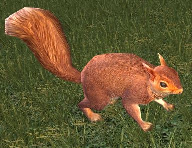 File:Red Squirrel (Cosmetic Pet) 2.jpg
