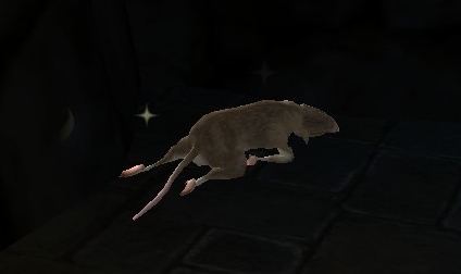 File:Dead Rat.jpg