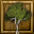 File:Beech Tree-icon.png