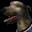 Shell (dog).png