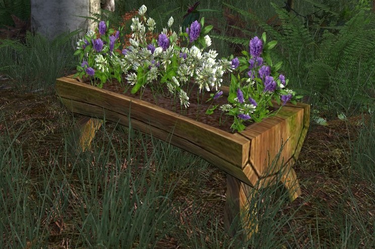 File:Raised Planter of Wild Clover.jpg