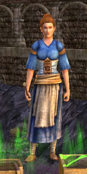 File:Blue Goodwife's Outfit Woman.jpg
