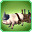 Mysterious Celebration Pig-icon.png