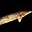 File:Golden Redfish-w-icon.png