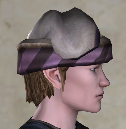 File:Wayfarer's Hat (side).jpg