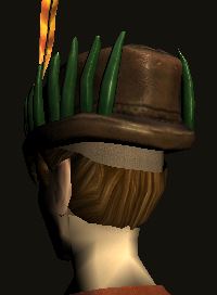 File:Hat of the Green Dragon Inn (back).jpg