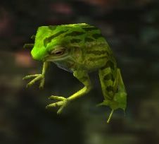 File:Pond Frog.jpg