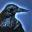 File:Raven's Protection-icon.png