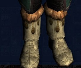 File:Storvâgûn's Spare Boots.jpg