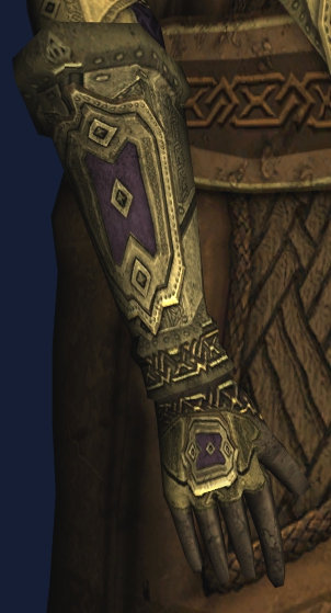 File:Reinforced Enduring Gauntlets of the Adventurer.jpg